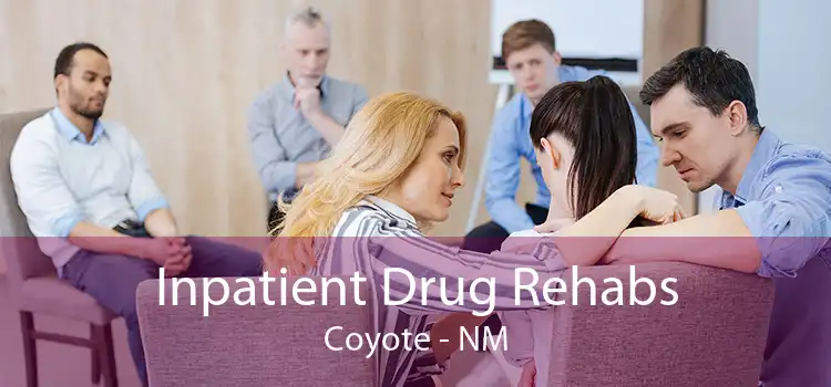 Inpatient Drug Rehabs Coyote - NM