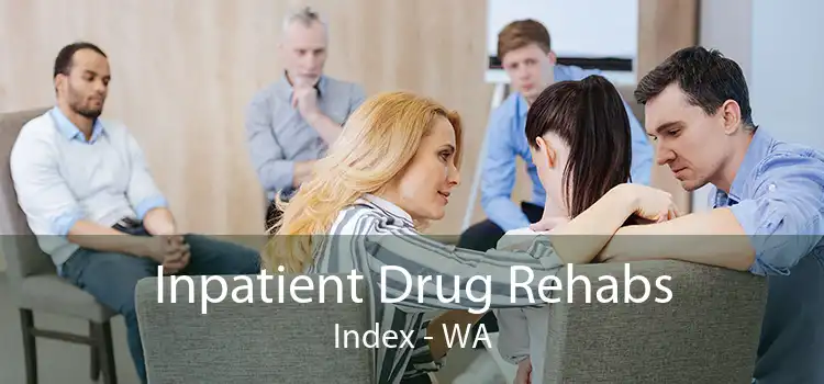 Inpatient Drug Rehabs Index - WA