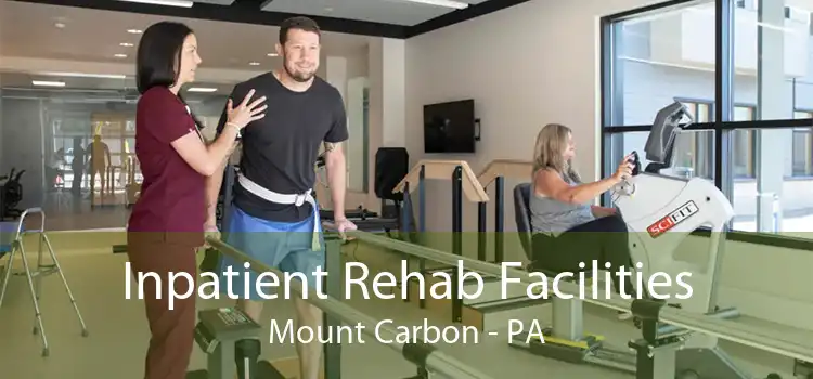 Inpatient Rehab Facilities Mount Carbon - PA