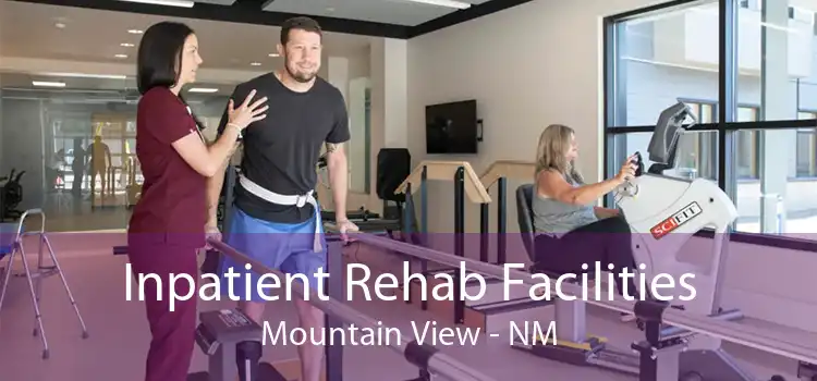 Inpatient Rehab Facilities Mountain View - NM