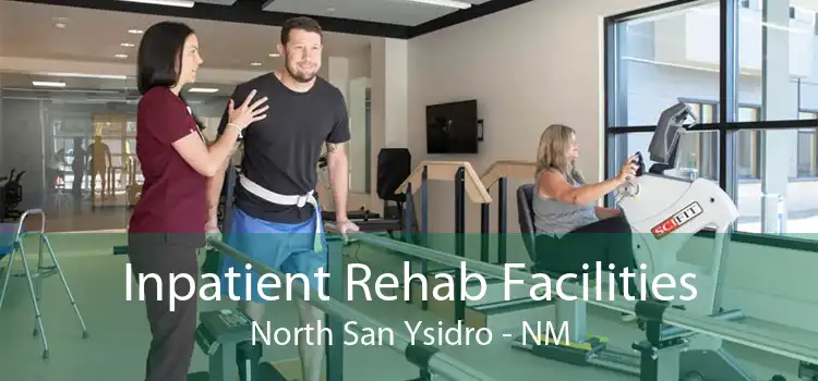 Inpatient Rehab Facilities North San Ysidro - NM