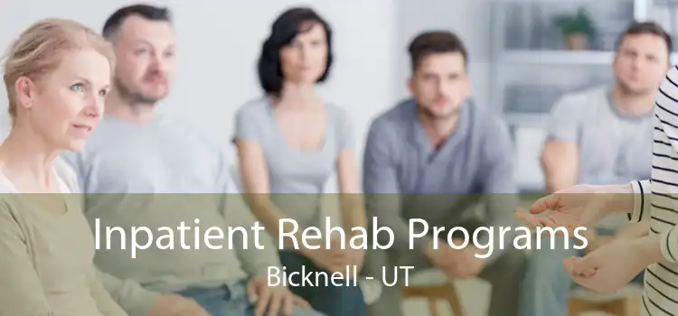 Inpatient Rehab Programs Bicknell - UT