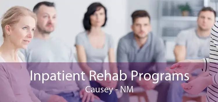 Inpatient Rehab Programs Causey - NM