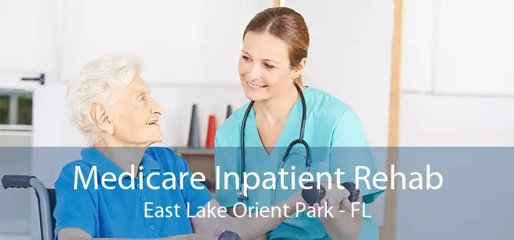 Medicare Inpatient Rehab East Lake Orient Park - FL