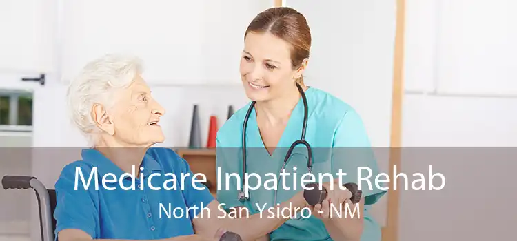 Medicare Inpatient Rehab North San Ysidro - NM